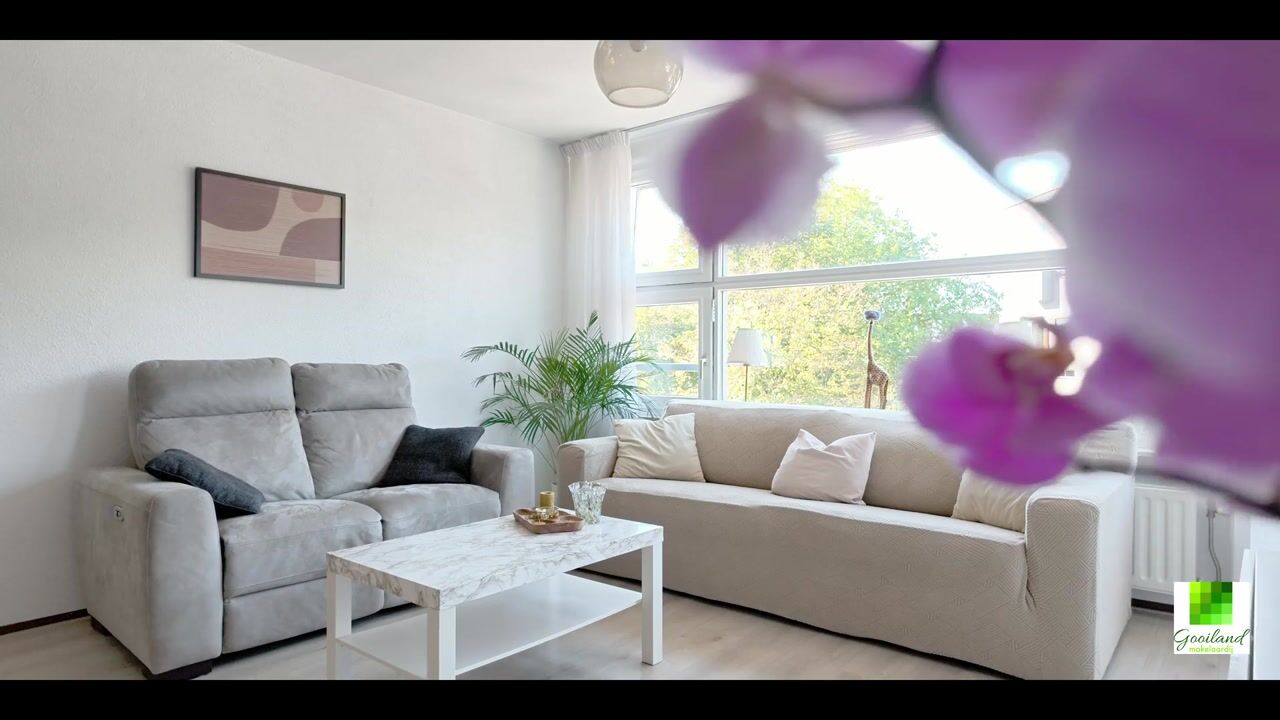 Video van Zenderstraat 244