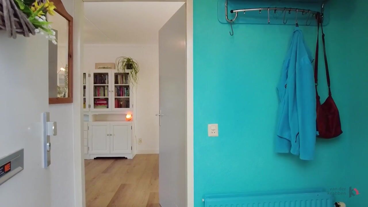 Video van Borgvliet 30