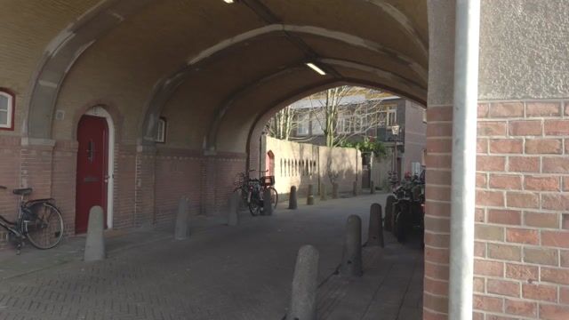 Video van Bredius