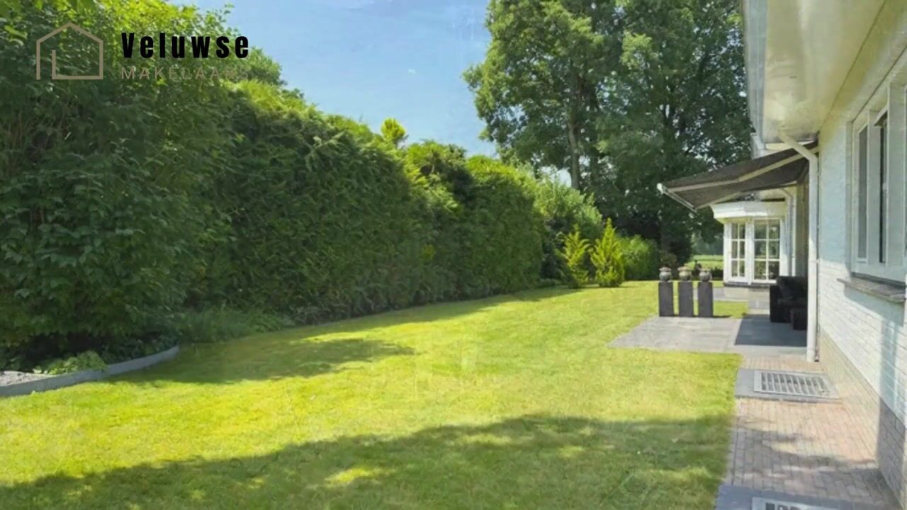 Video of Hoorneweg 17-B