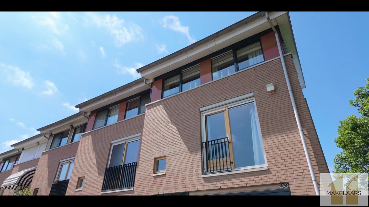 Video van Goudpluvier 39