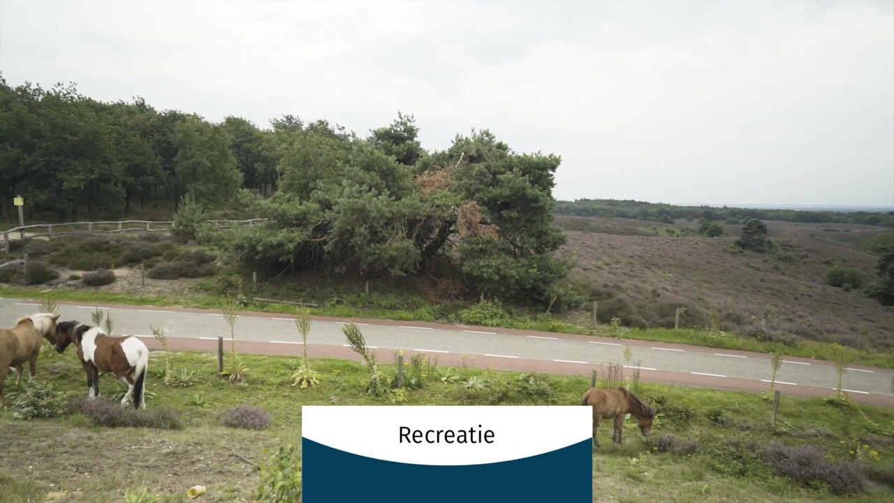 Video of Mauritiusstraat 5