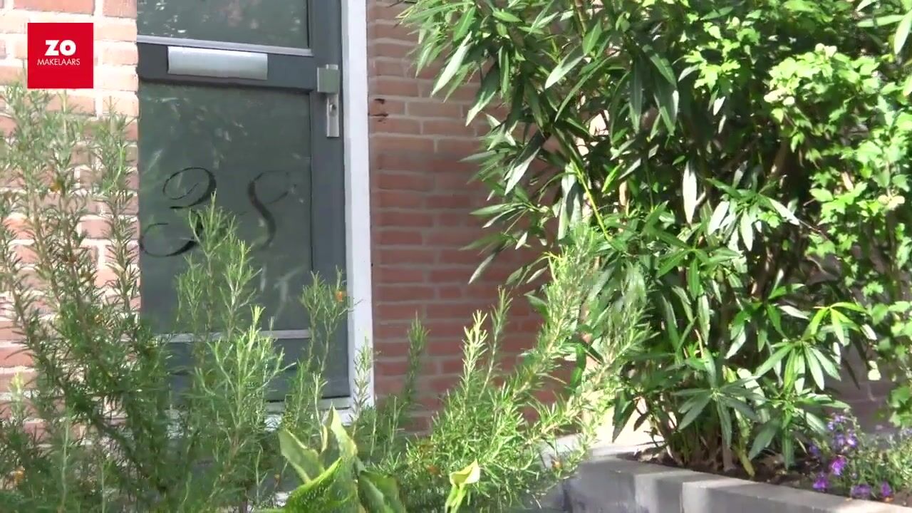 Video van Rosa Manuslaan 38
