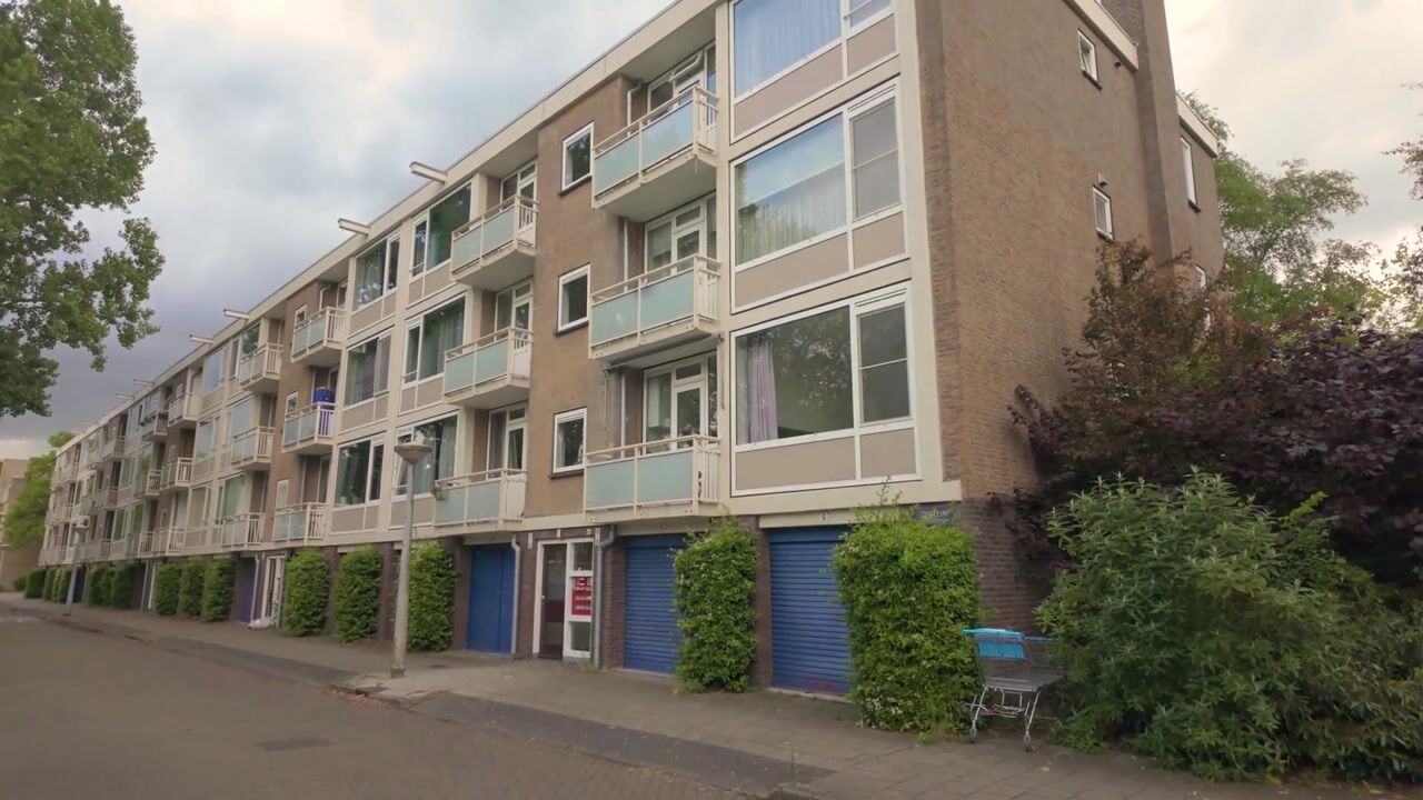 Video of Onstein 12