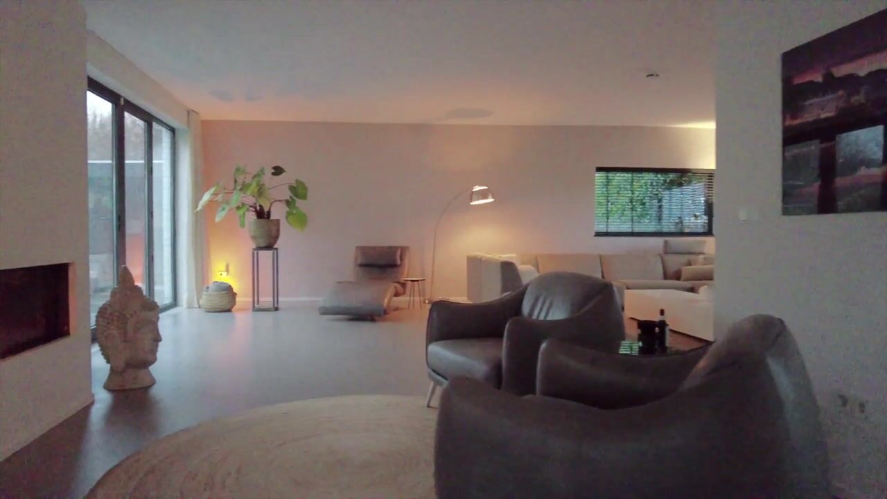 Video of Hondsdraf 2