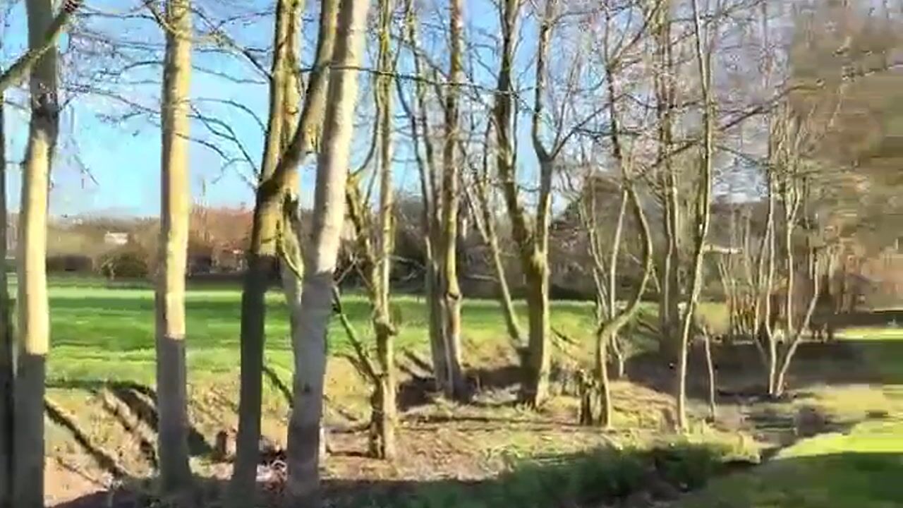 Video of van Haestrechtstraat 24-K429