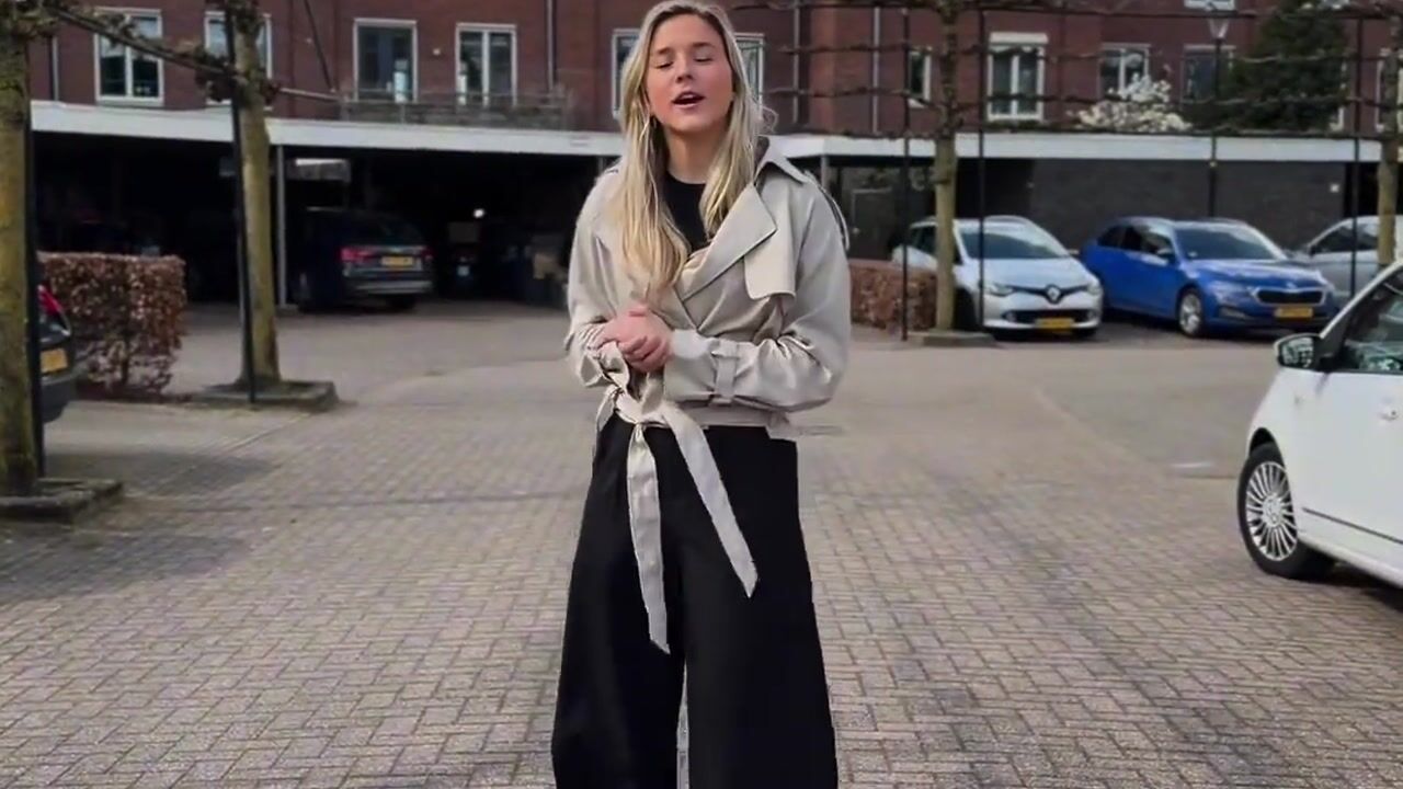 Video of Ringdijk 25