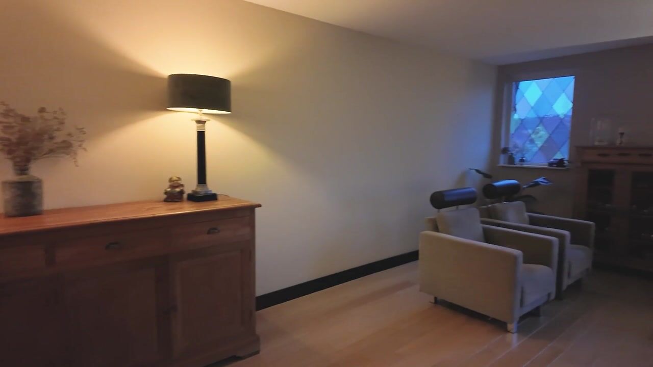 Video van Ringoven 17