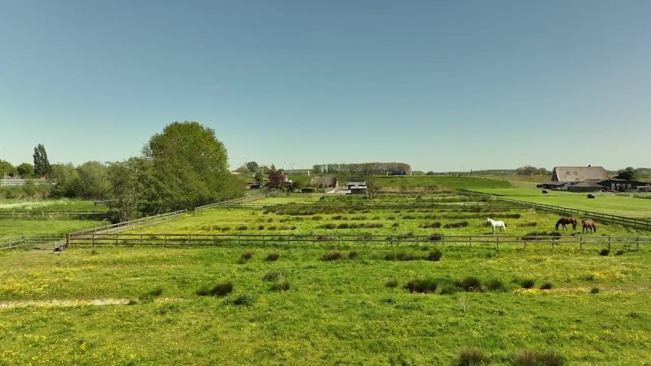 Video of Diefdijk 5