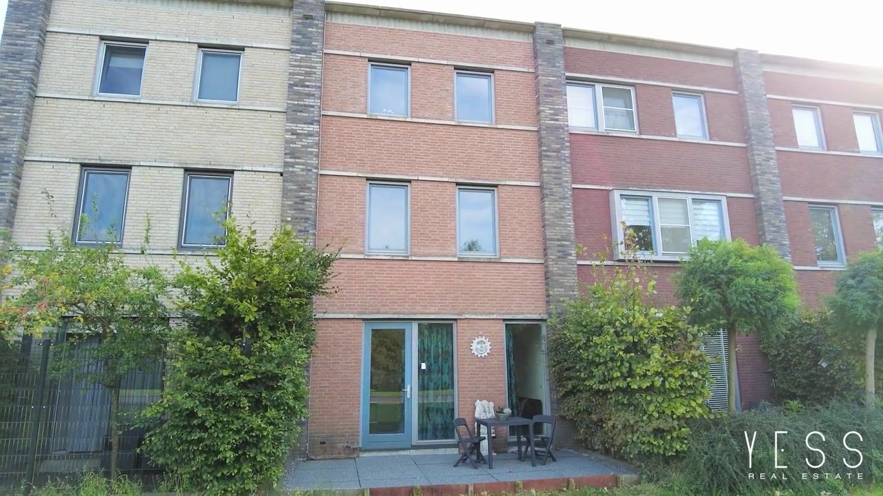 Video of Olijfhout 18