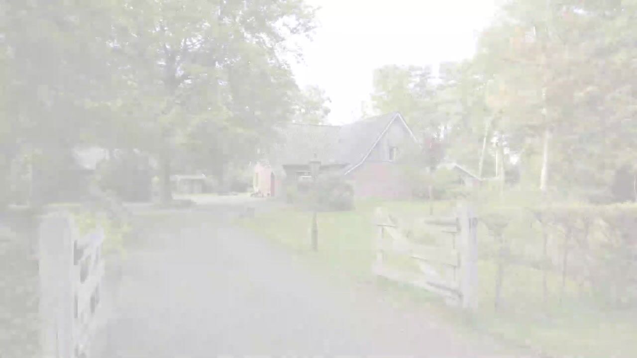 Video van Hambree 10