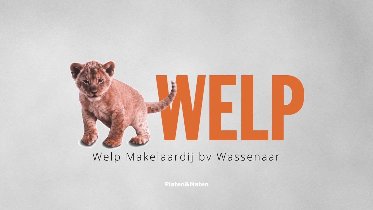 Video van Lange Kerkdam 100