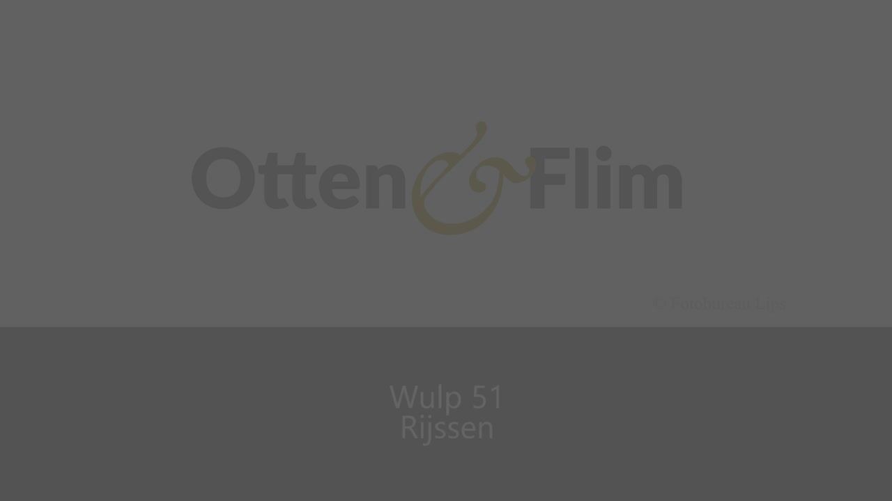Video van Wulp 51