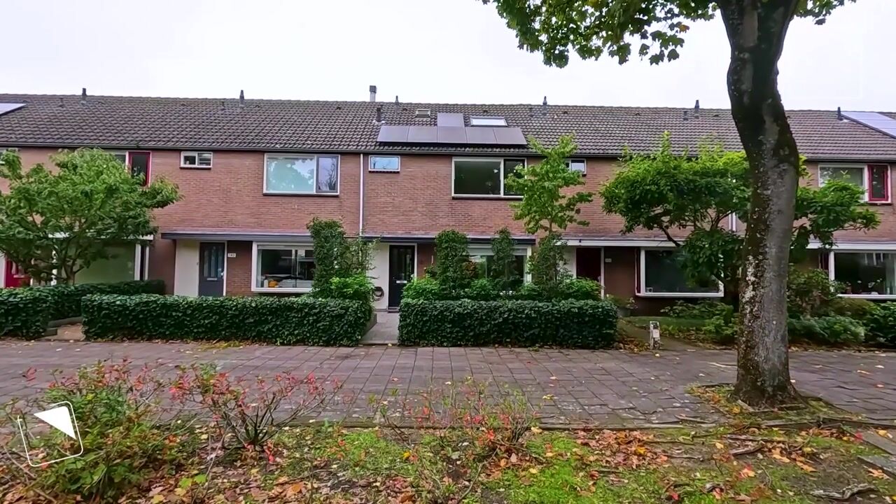 Video van Loefzij 138