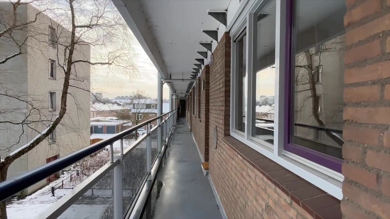 Video van Zangvogelweg 301