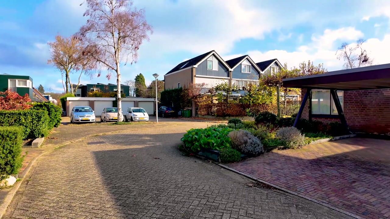 Video of Valkenier 1