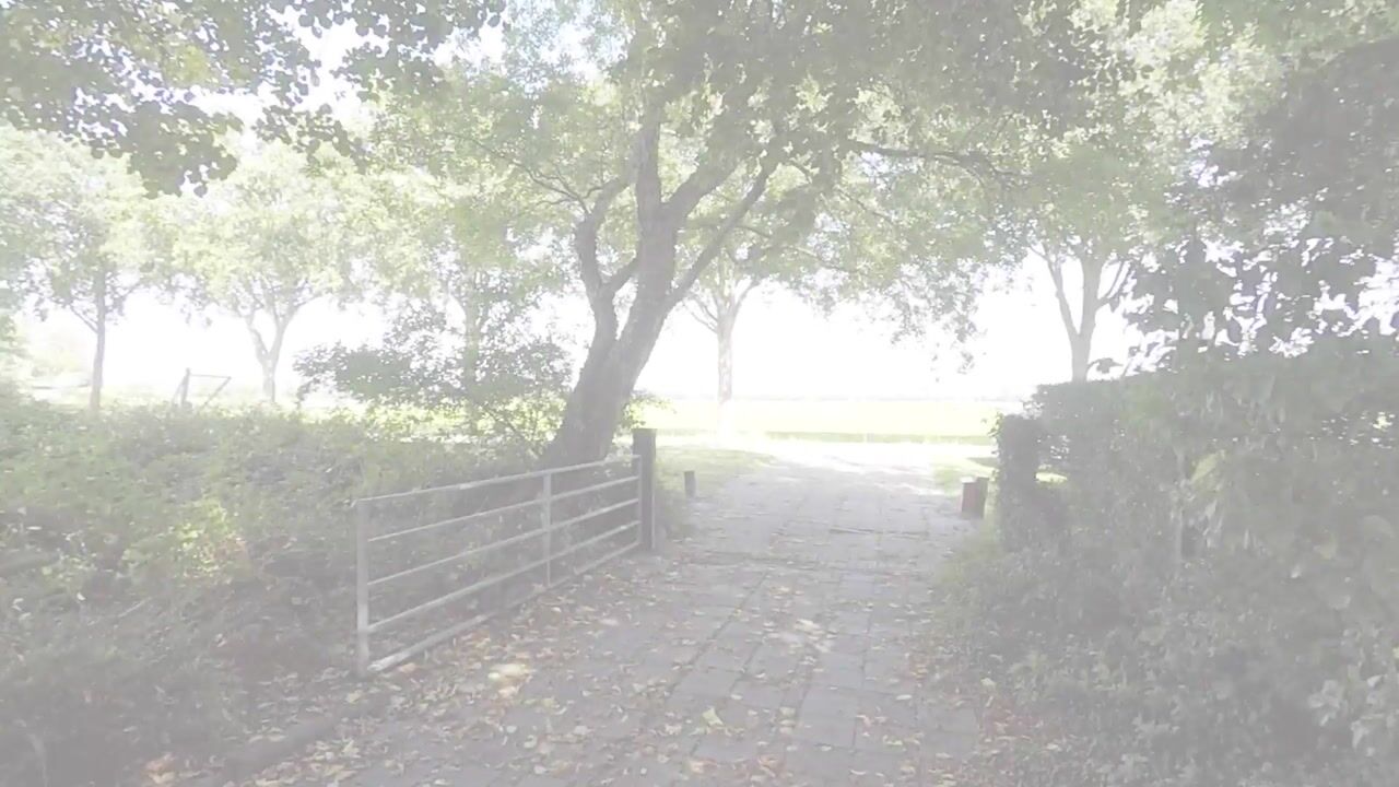 Video of Meesterswijk 18