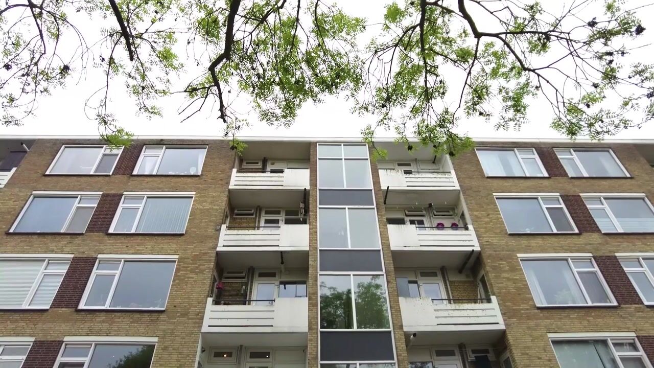 Video van Dahliastraat 204