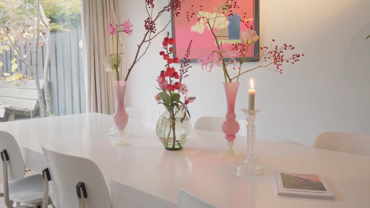 Video van Beethovenlaan 44