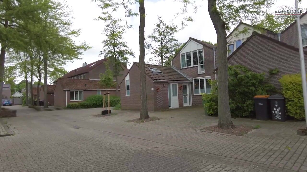 Video van Haanderik 216