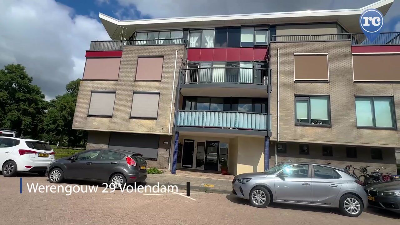 Video of Werengouw 29