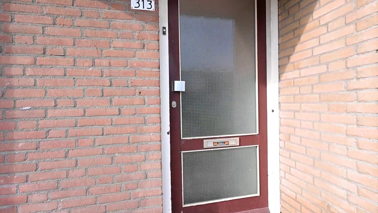 Video of Wagenaarstraat 313