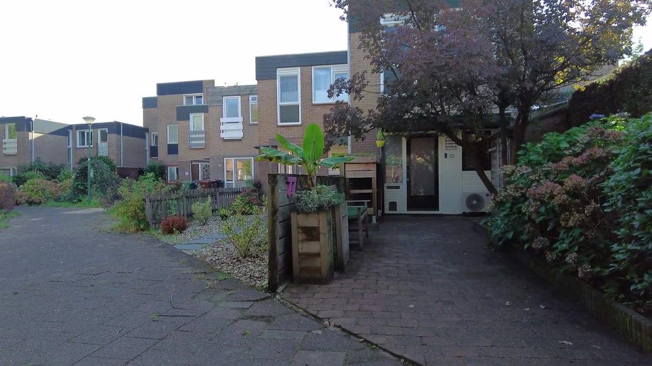 Video van Pijperpad 77