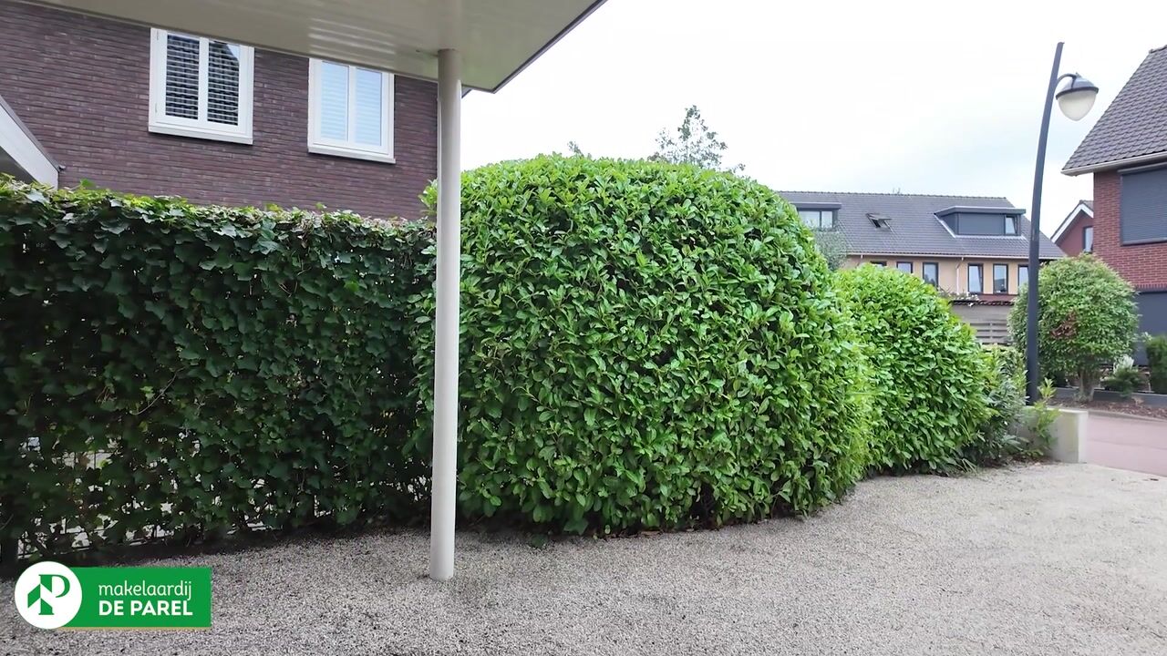 Video van Eikelkamp 6