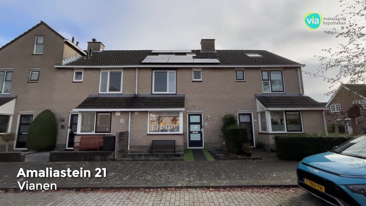 Video of Amaliastein 21