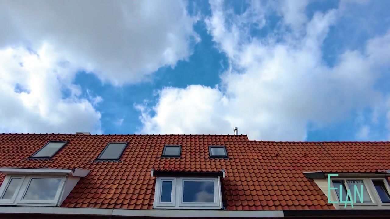 Video van Reigerstraat 24