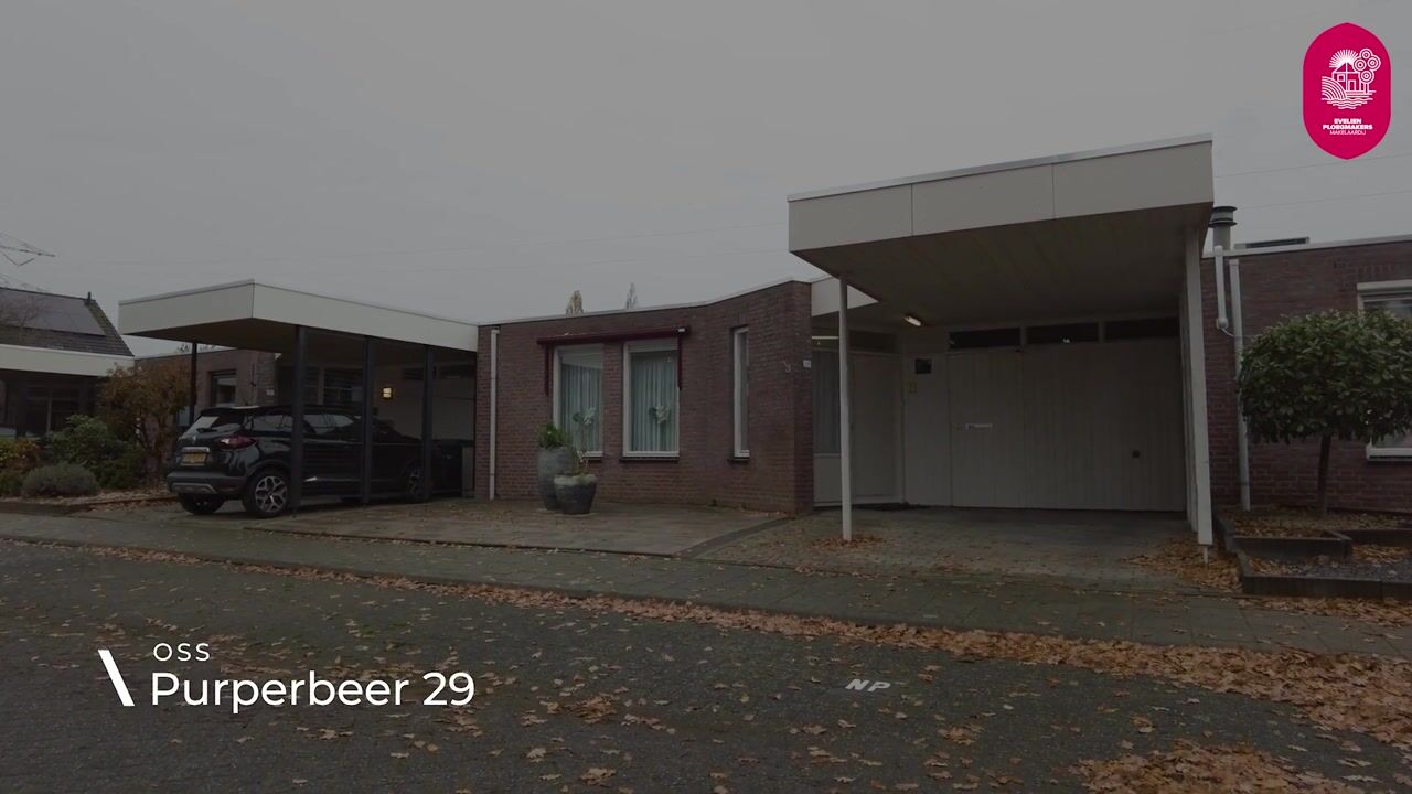 Video of Purperbeer 29