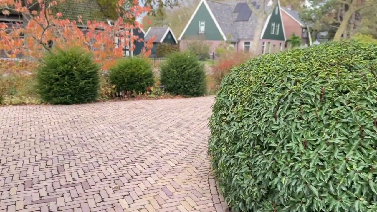 Video of Dorpsweg 71