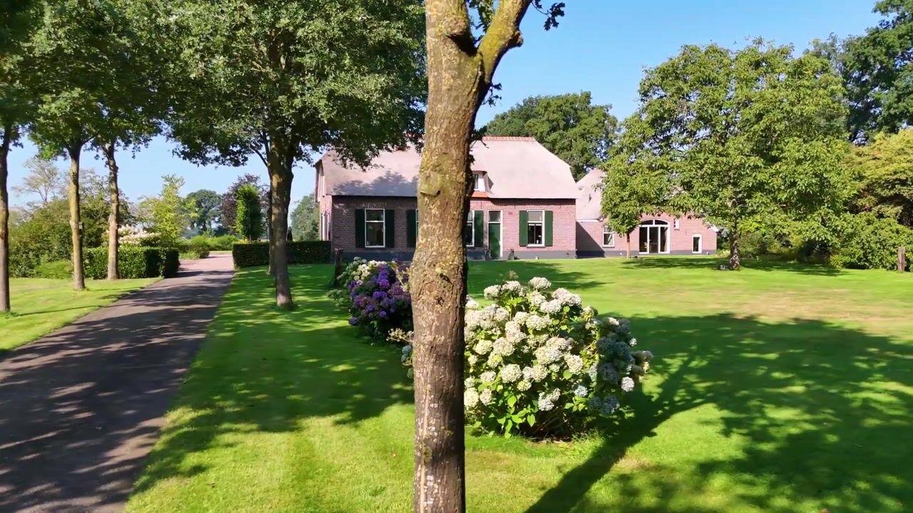 Video van Schapendijk 7