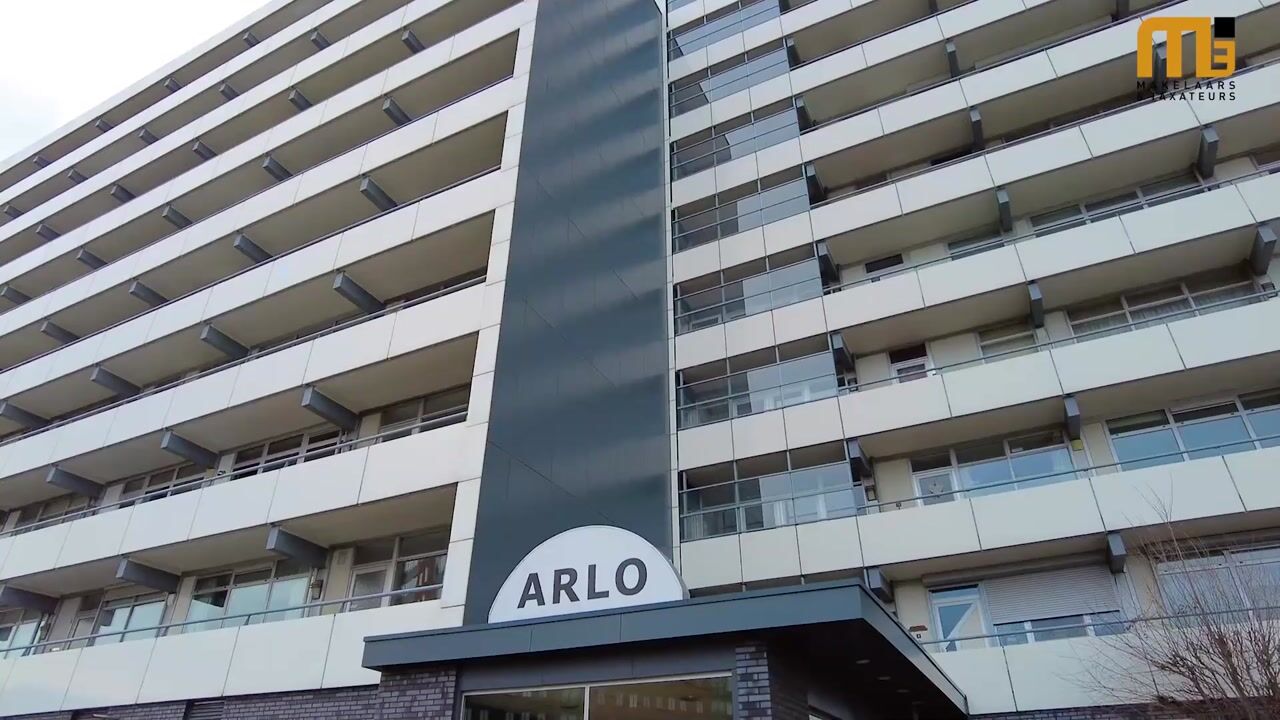 View video of Arlo 38