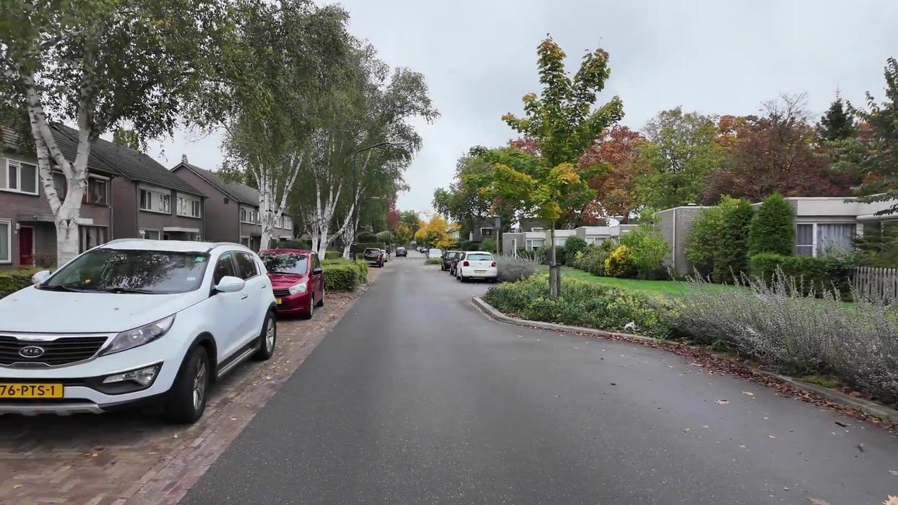 Video van De Mommers 13