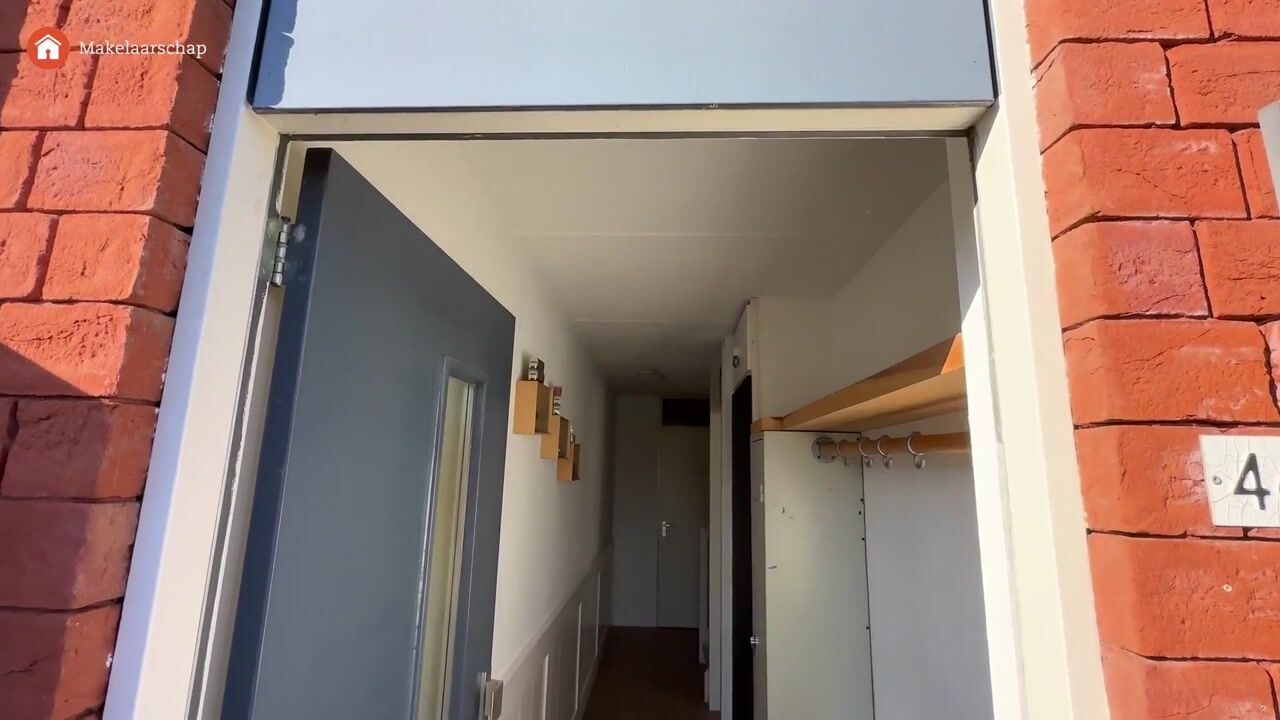 Video van Zwarte Specht 46
