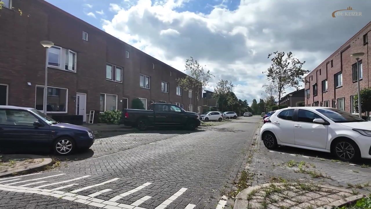 Video van Kladdewortel 12