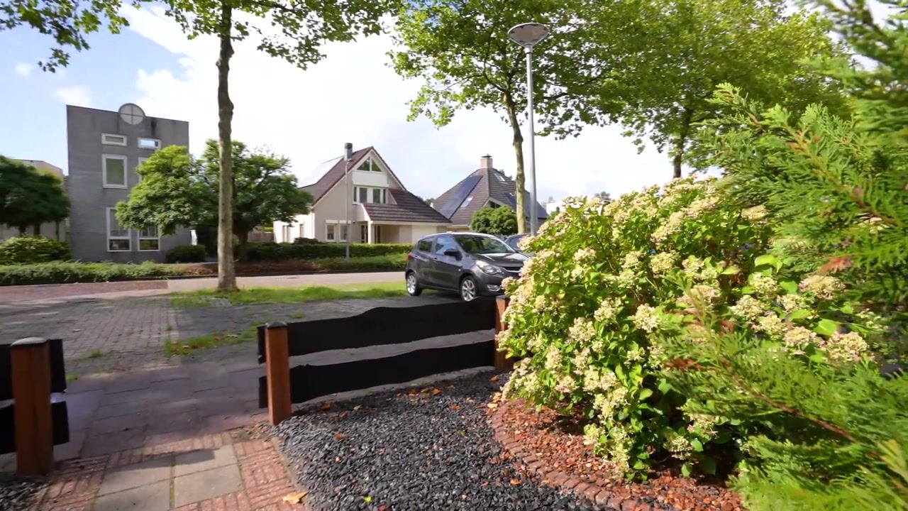 Video van Citroenvlinder 118