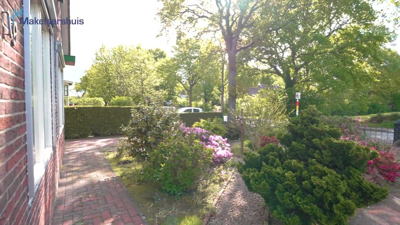 Video of Oosterstreek 19