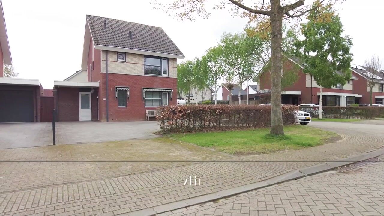 View video of Zomervlinder 15