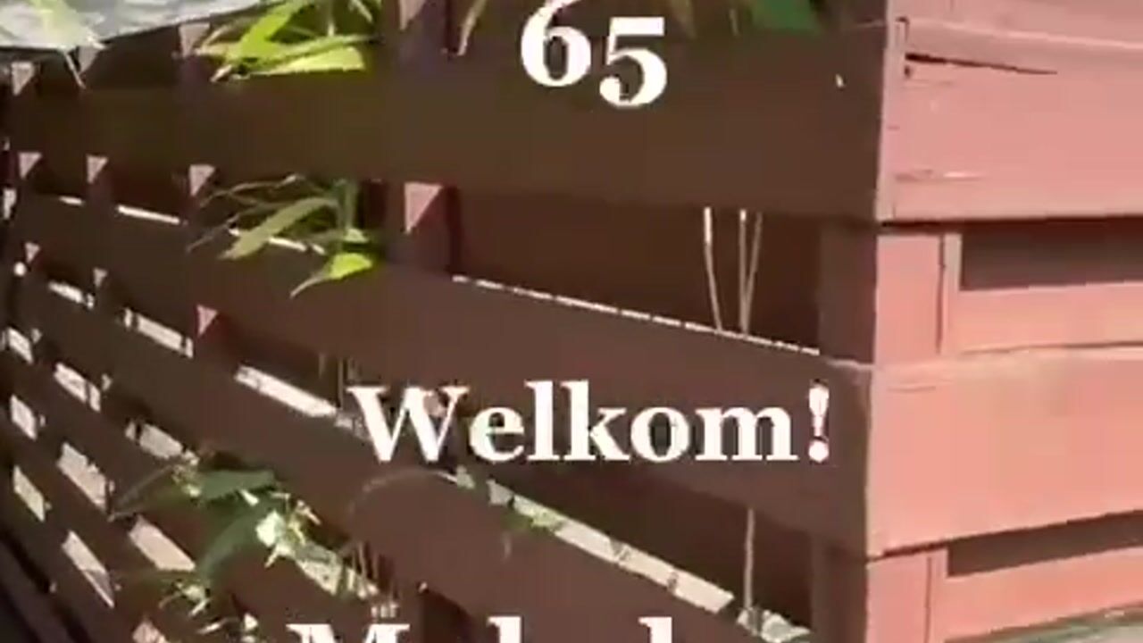 Video van Polderdreef 65