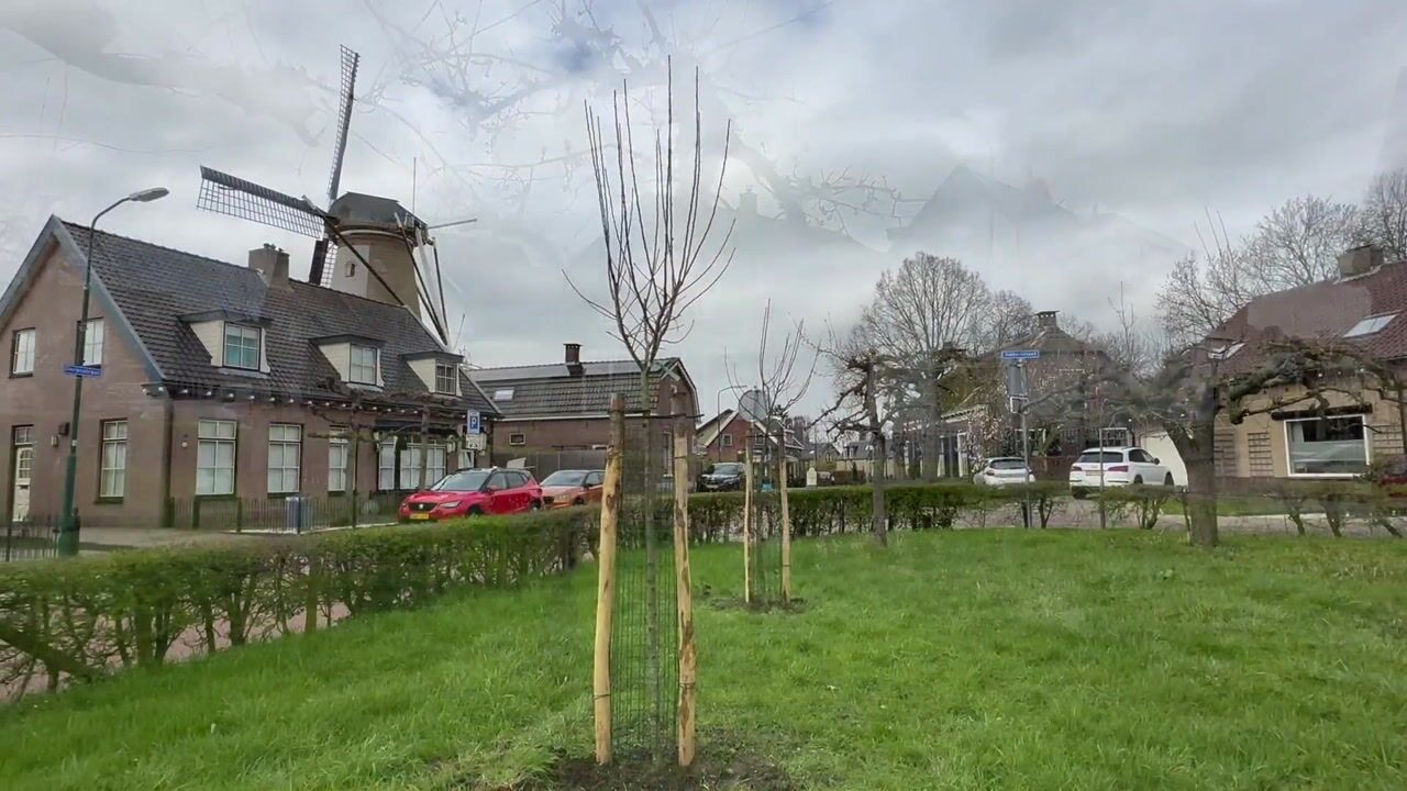 Video van Dorpsstraat 39