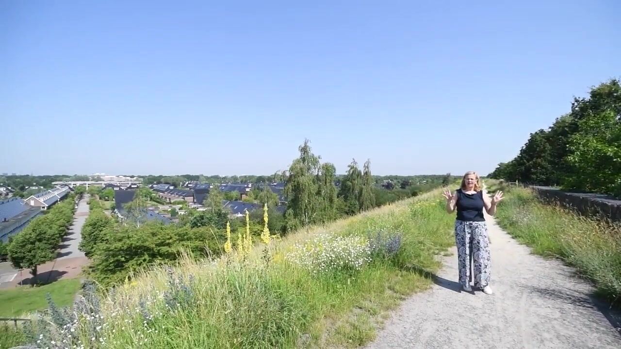 Video van Vossenlaar 70