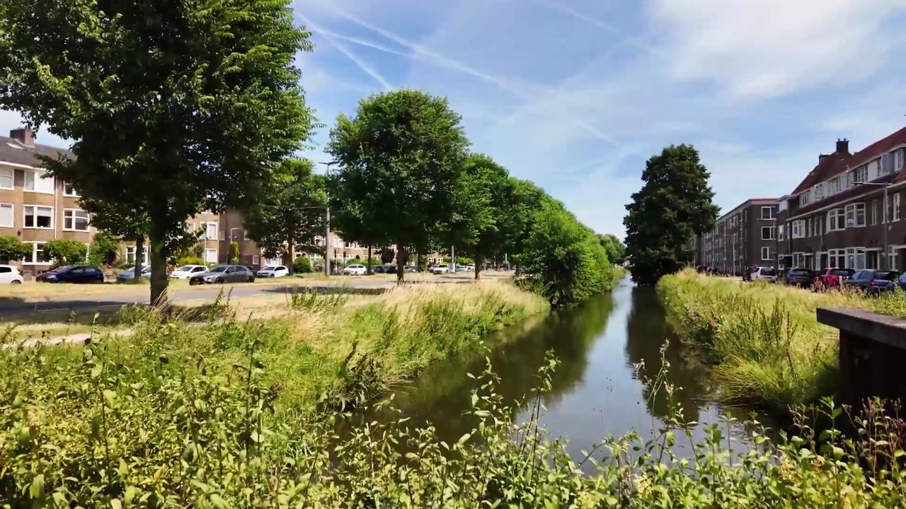 Video van Johan de Wittlaan 167-1