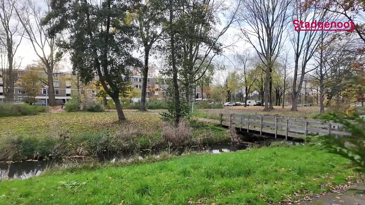 Video of Midscheeps 17