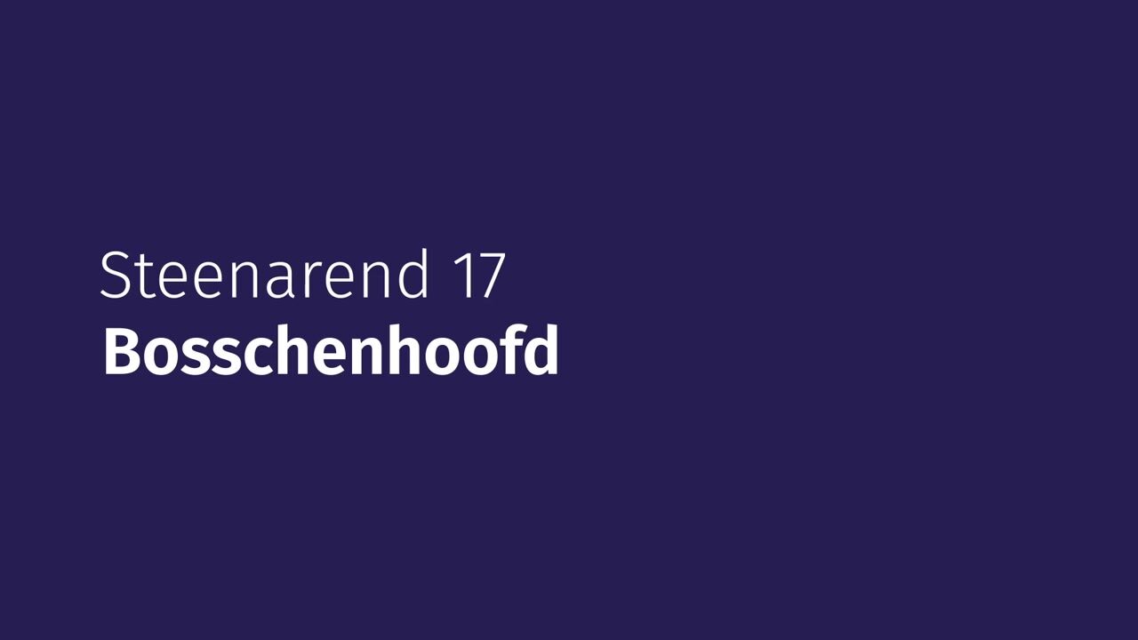 Video van Steenarend 17