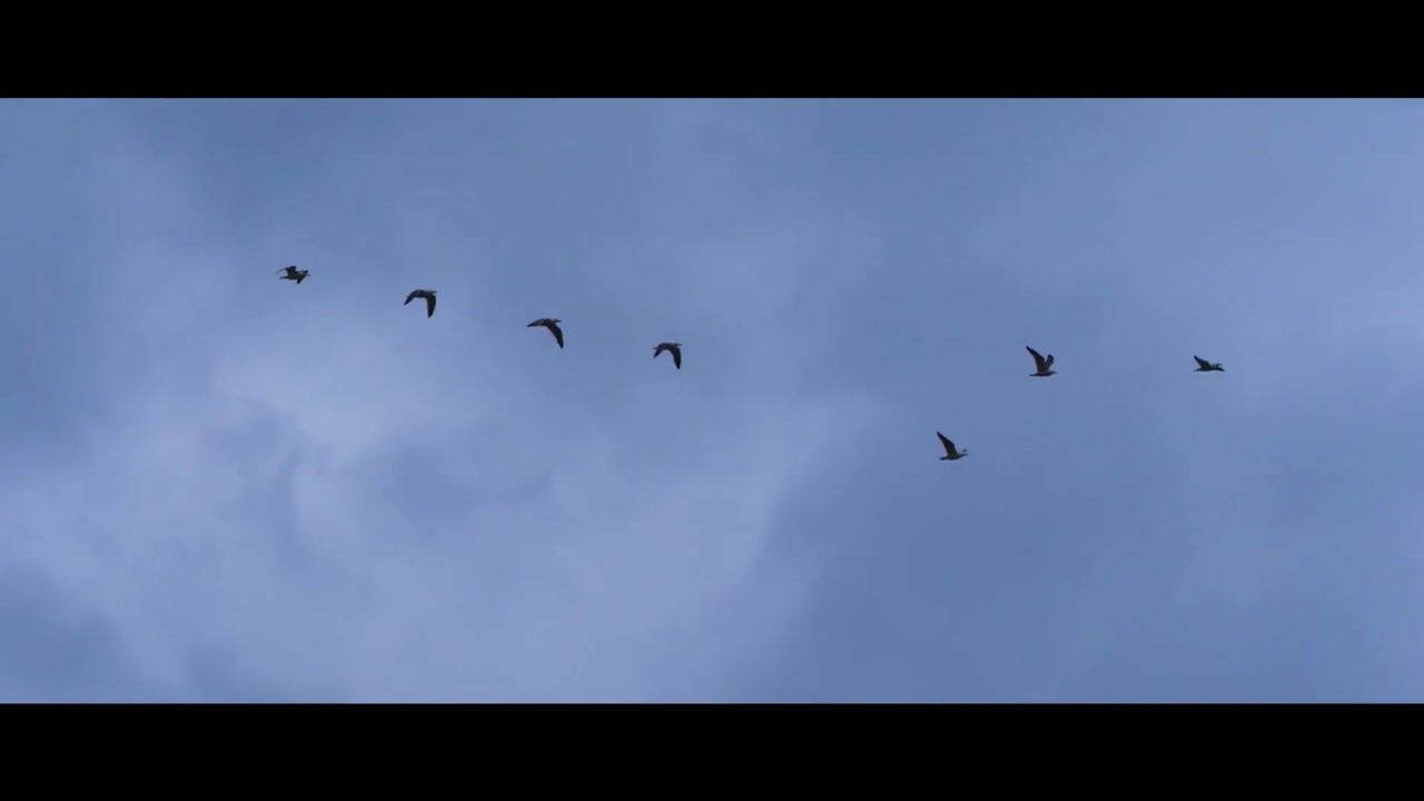 Video of Perronlaan 234