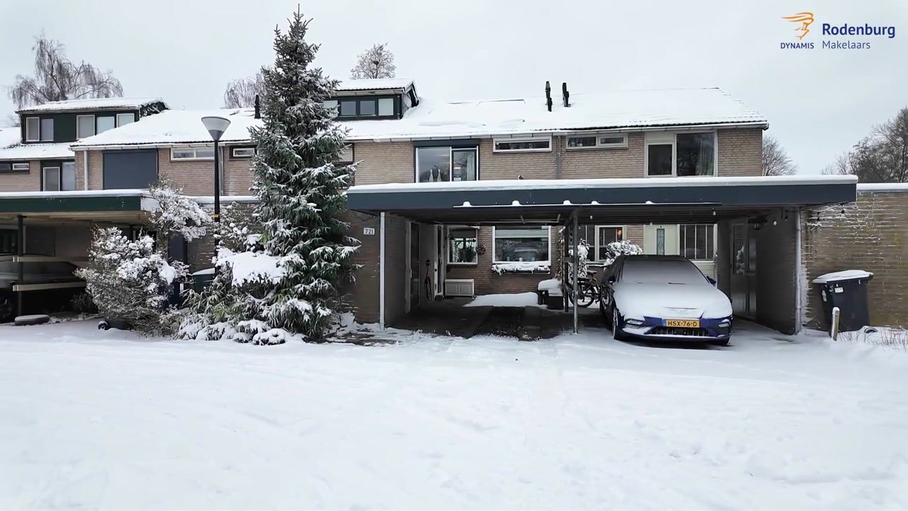 Video of Schrijnwerkershorst 721