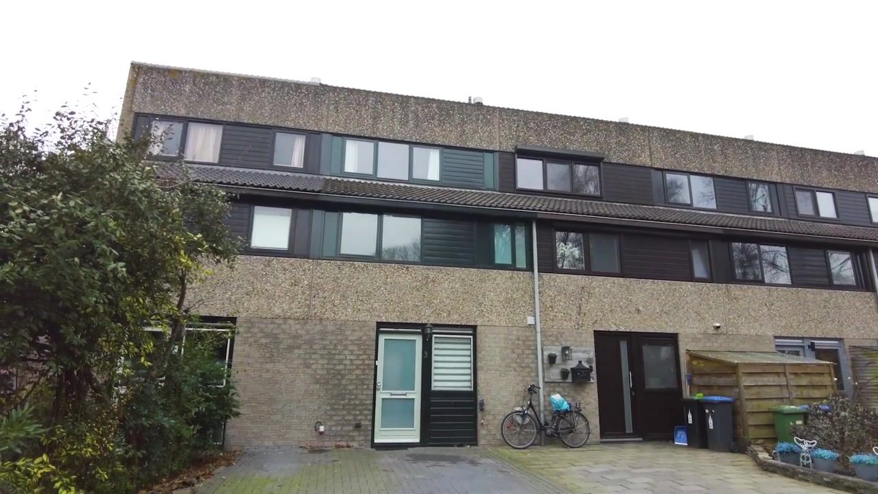 Video van Johanna Hoeve 3