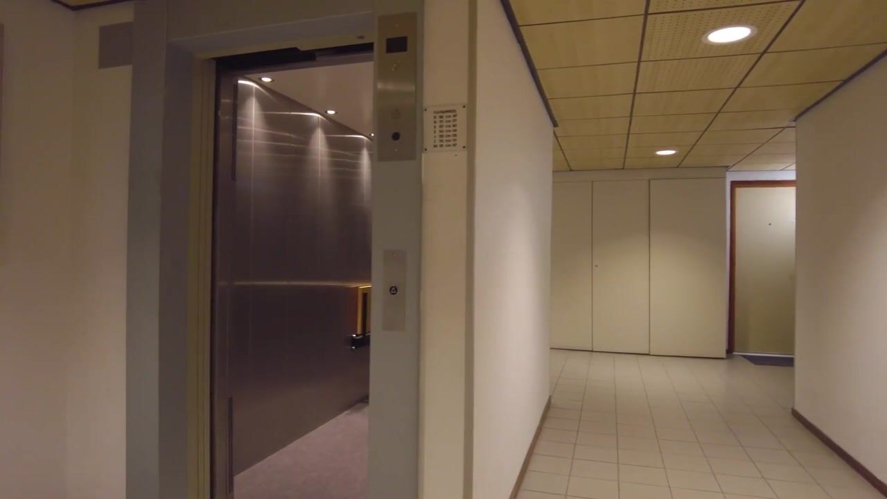 Video van De Roerdomp 162